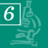 Icone 6